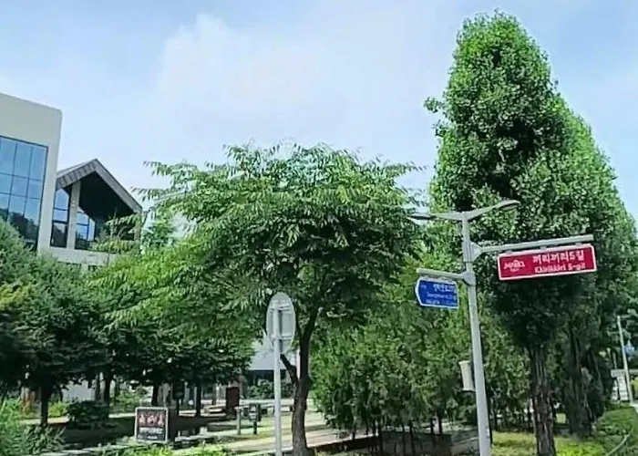Ssol House